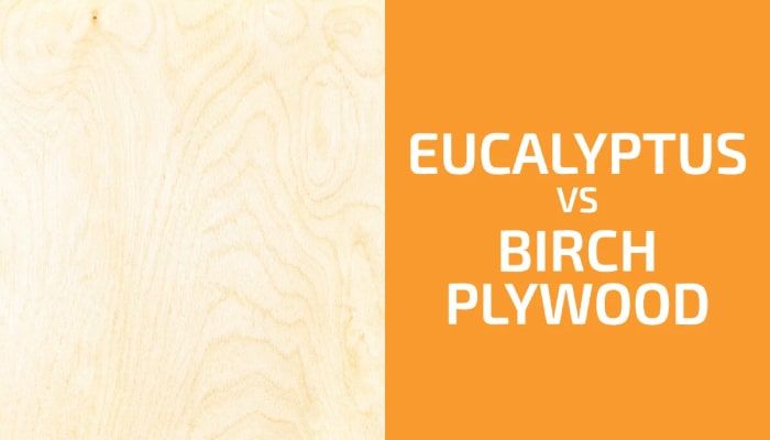 Eucalyptus Plywood vs Birch Plywood