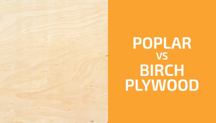 Poplar vs Birch Plywood