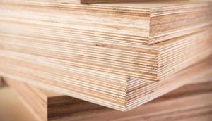 What is Plywood?